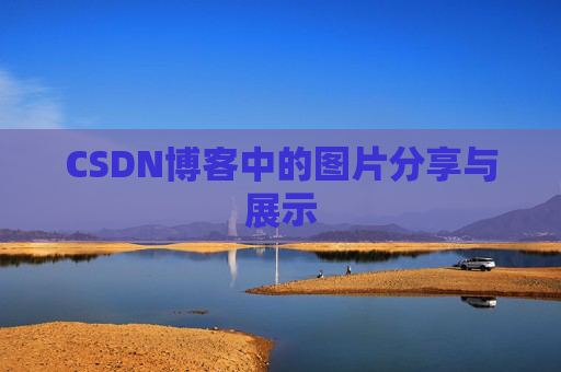 CSDN博客中的图片分享与展示